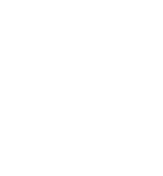 Norrvyn Logo